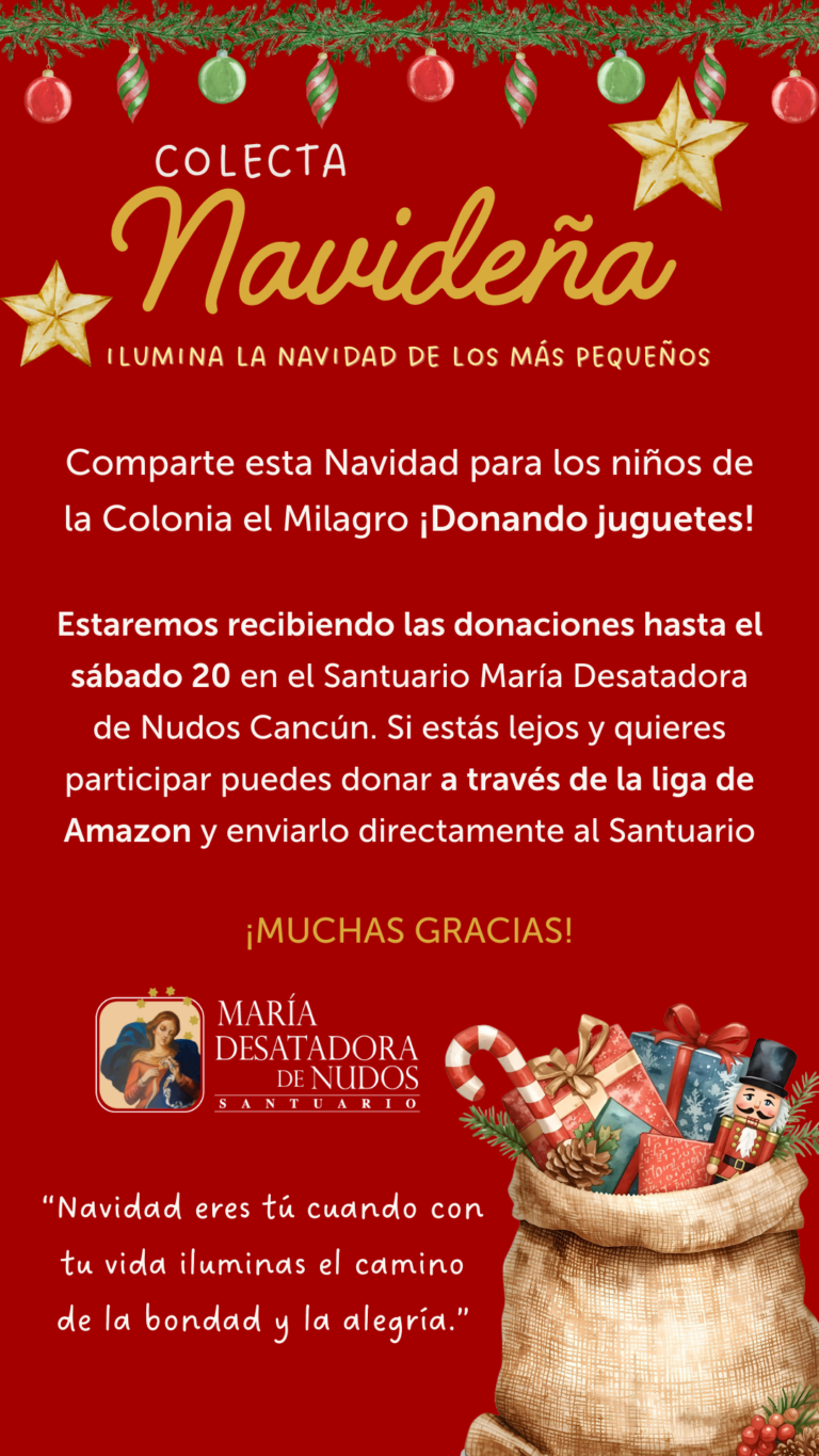 Colecta Navideña Colonia el Milagro